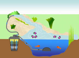 Graphic of set up example for Claritec