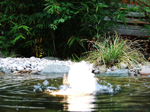 Illuminated Fountain