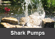 shark_pumps