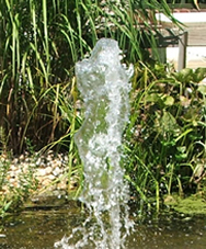 Fountain picture