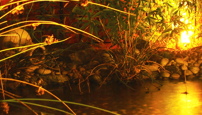 pond_lighting