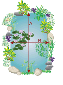 Example of rectangular pond